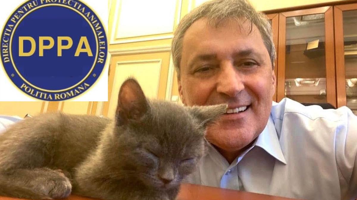 angajari politia protectia animalelor ofiter politie medic veterinar agent de politie