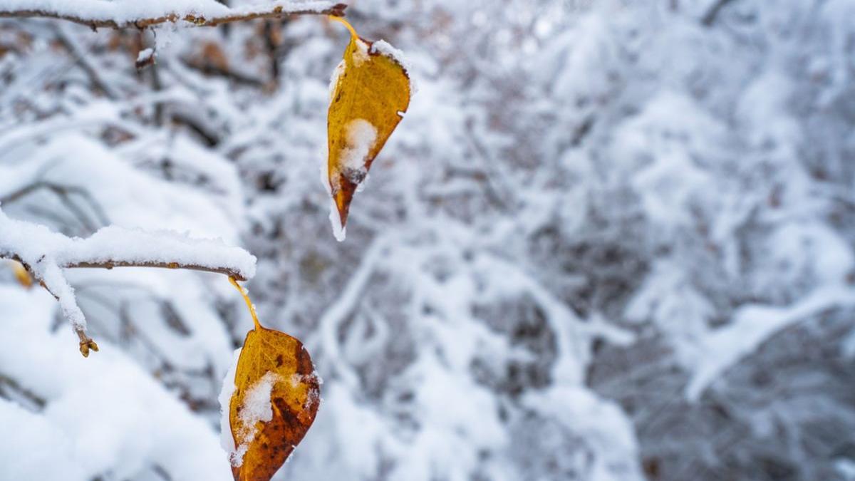 prognoza meteo anm vremea