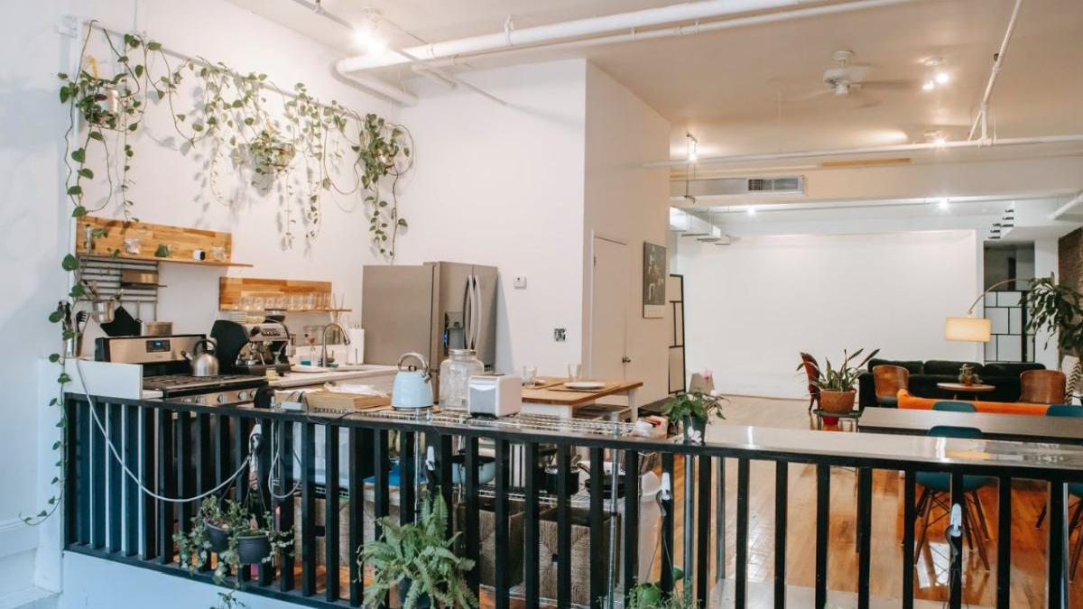 cum sa ti decorezi locuinta cu plante si flori sfaturi si trucuri utile