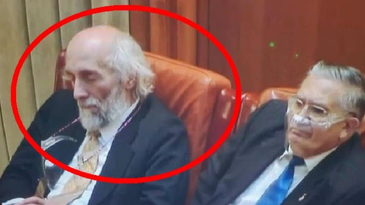 mircea daneasa senator aur suceava a dormit in plen