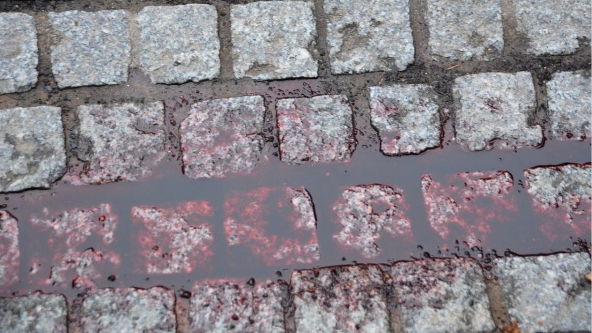 crima craciun tanara 21 ani calarasi