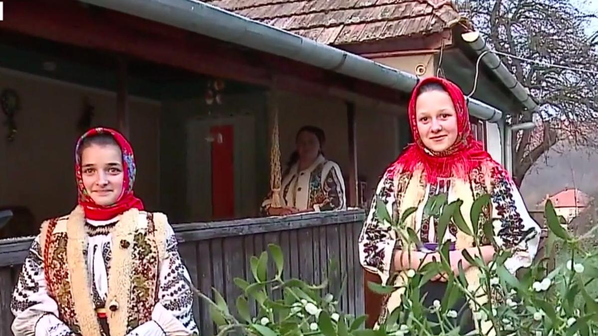 traditia vascului noroc in dragoste planta magica