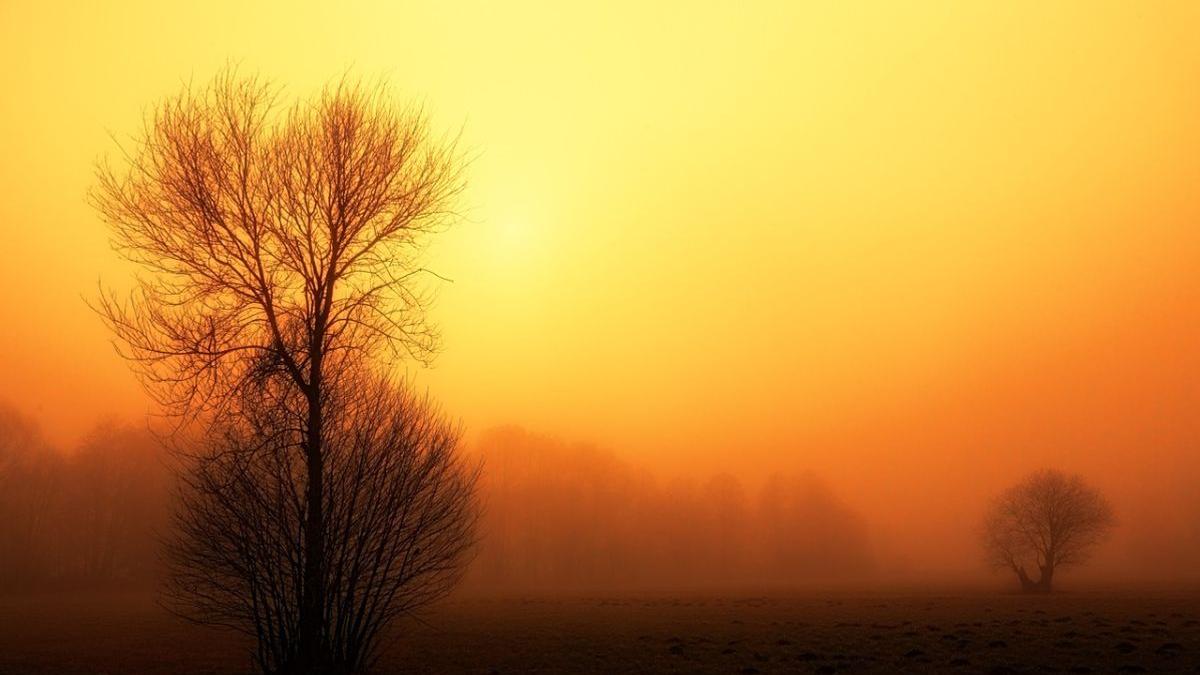 prognoza meteo 30 decembrie 2020 vreme primavara