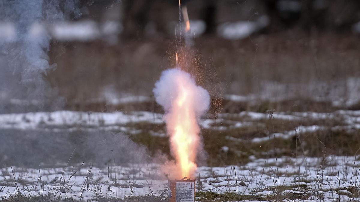 avetismentul mai fara petarde de revelion animale