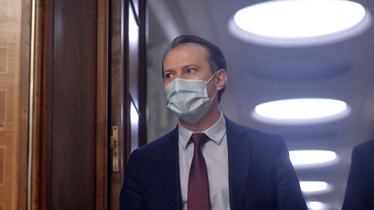 flori citu promisiune mesaj anul nou