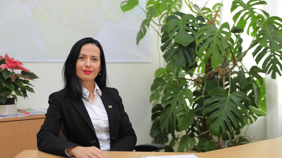 romanca pitesti viceprimar vienna