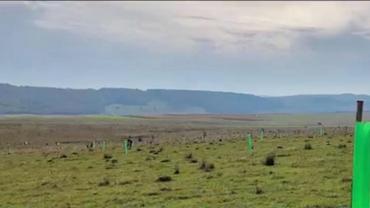 eroul zilei asociatia pando reabilitare ecologica