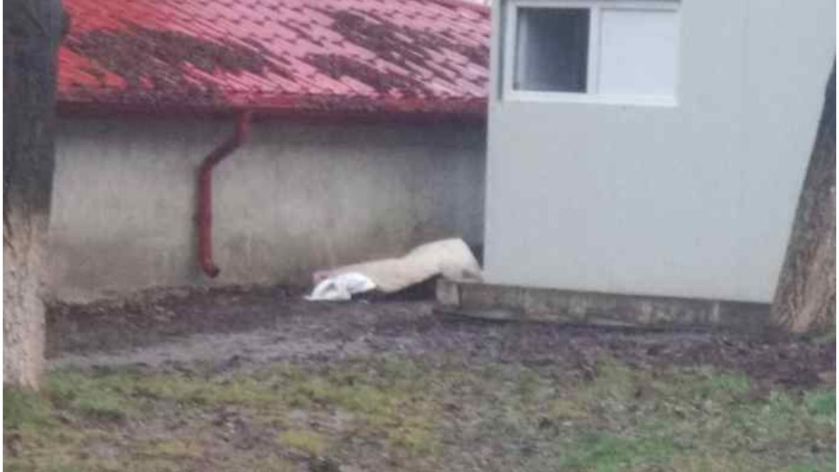 cadavru curte spitalul judetean botosani