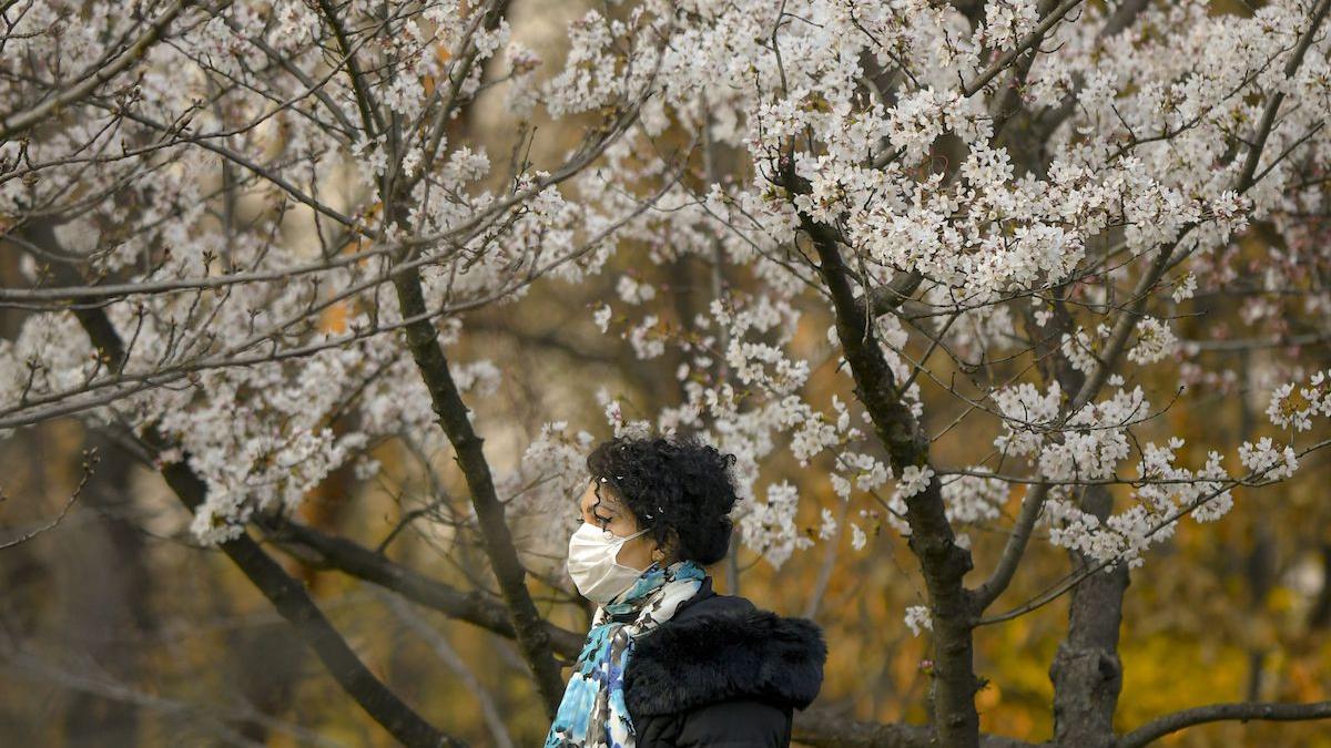 prognoza meteo bucuresti vremea se va raci