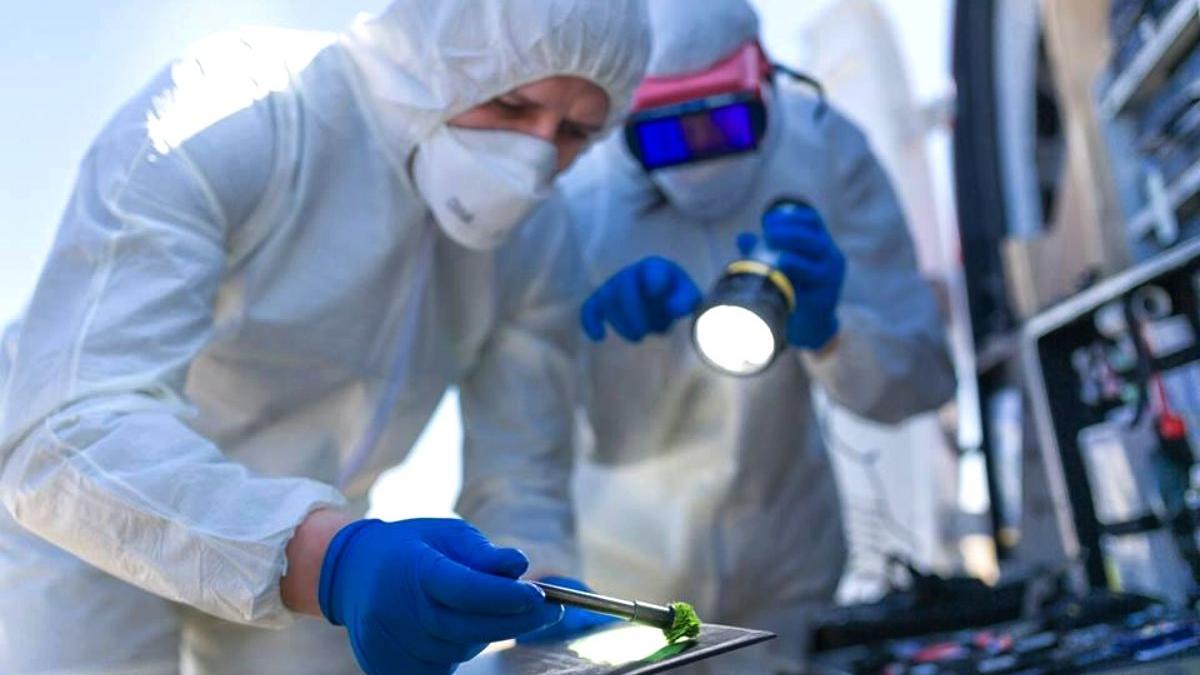 crime misterioase bihor vaida rosiori doua teorii