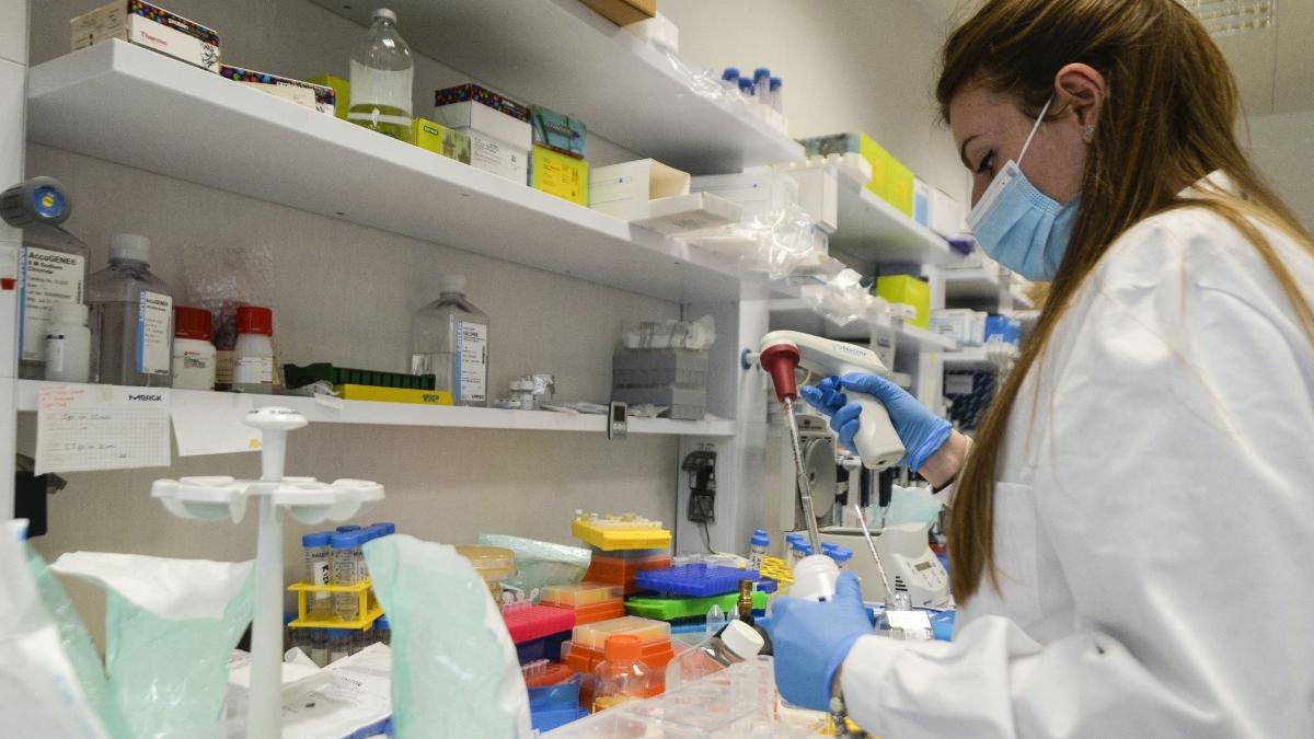 teste covid 19 falsificate