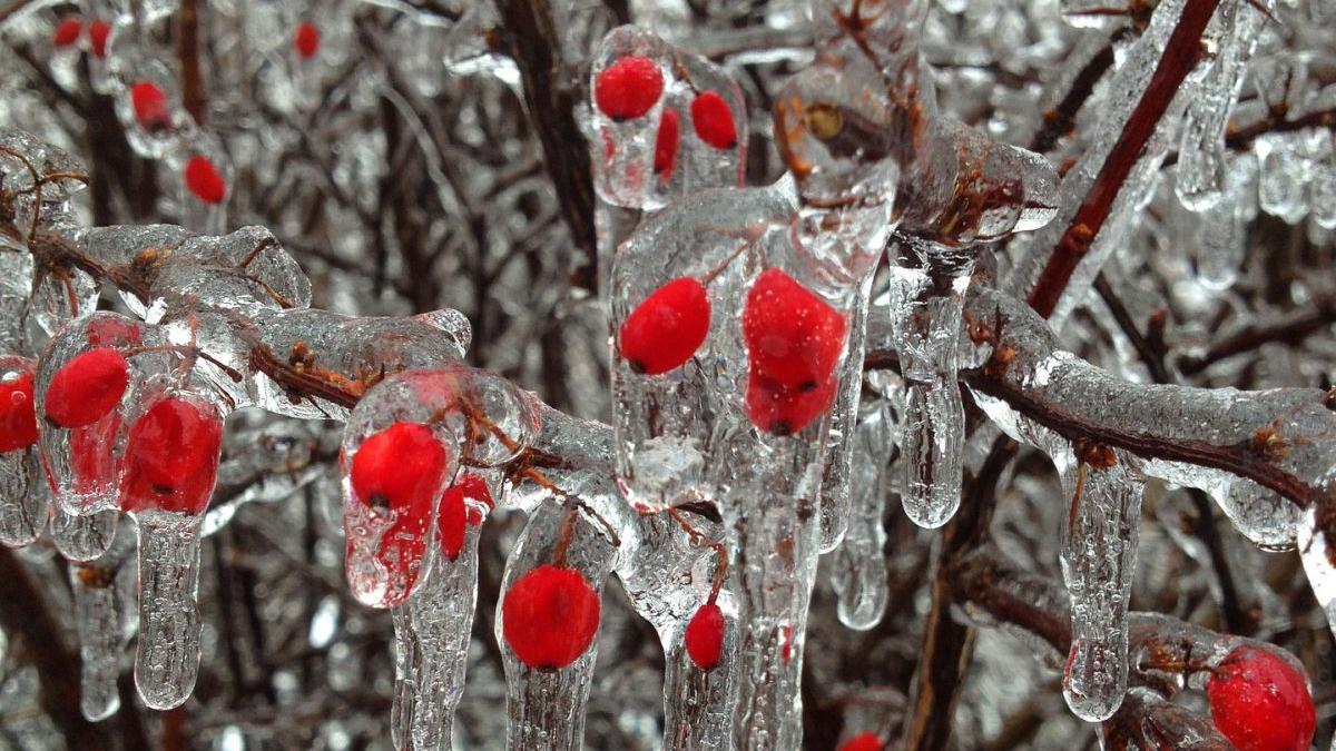 vremea prognoza meteo doua saptamani