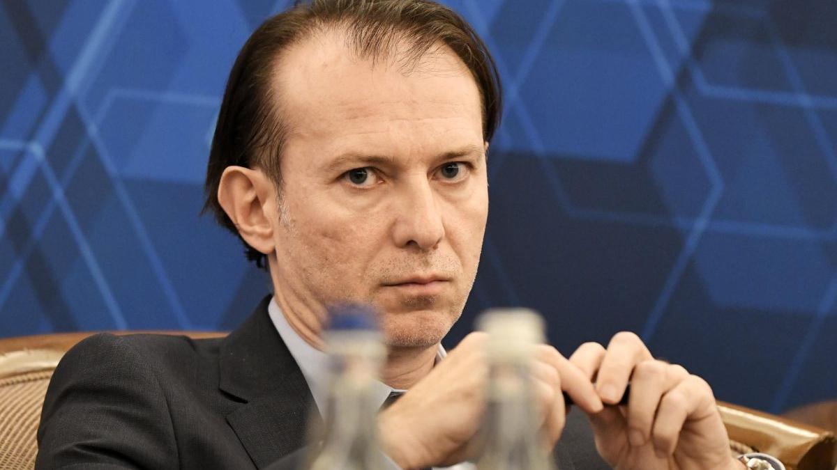 florin citu restructurari companii de stat