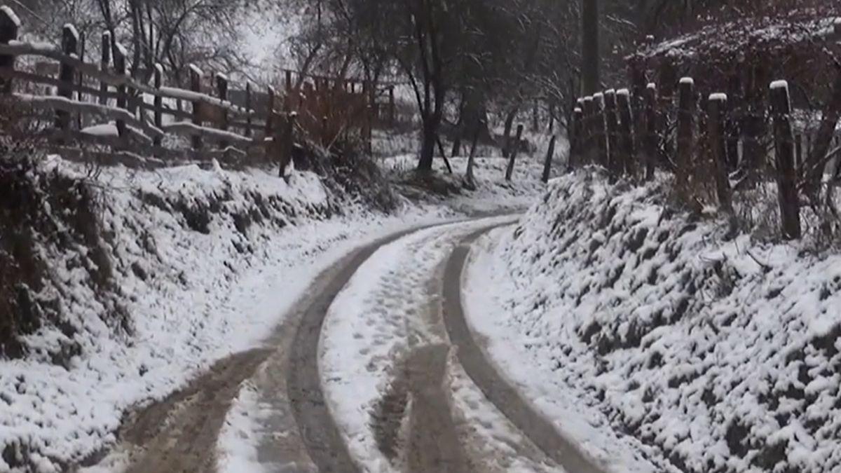 tulei campeni florin citu gropi