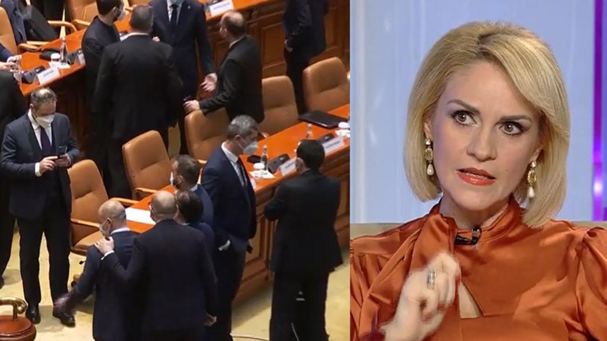 gabriela firea pensii ccr majorare guvern
