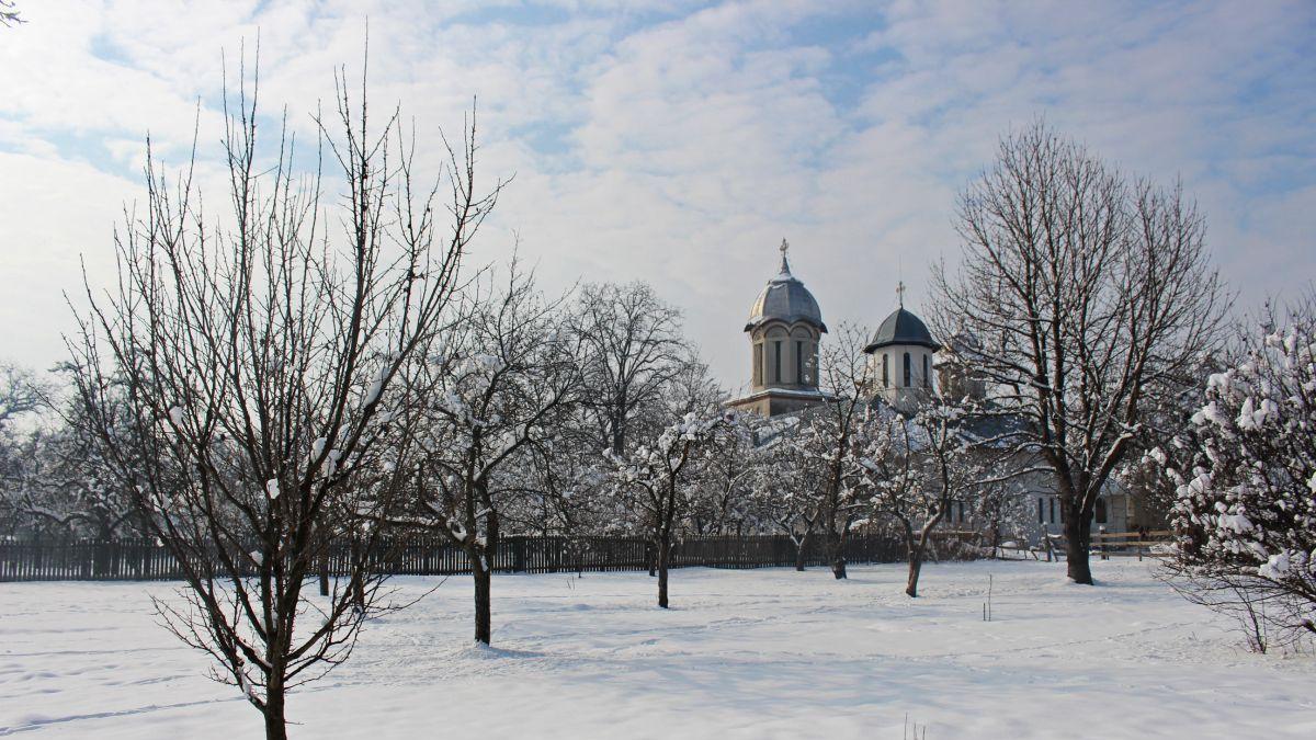 sate dambovita bezna curent electric copaci