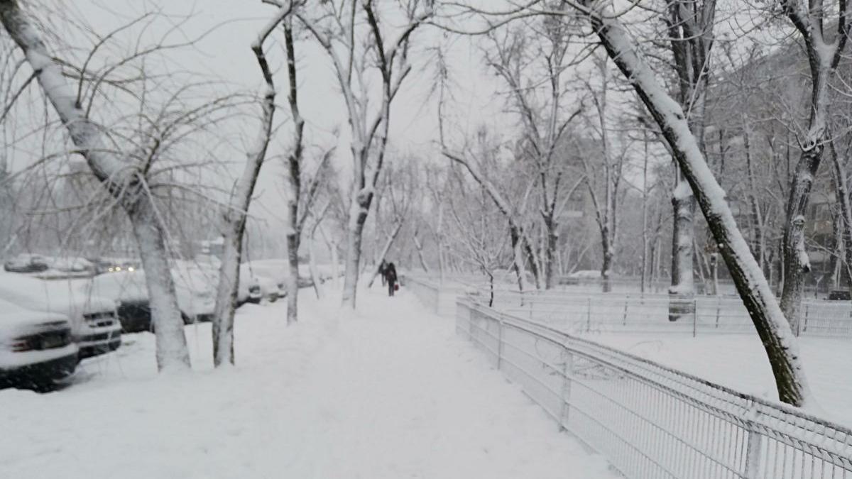 cod galben ninsori ceata vant opt judete