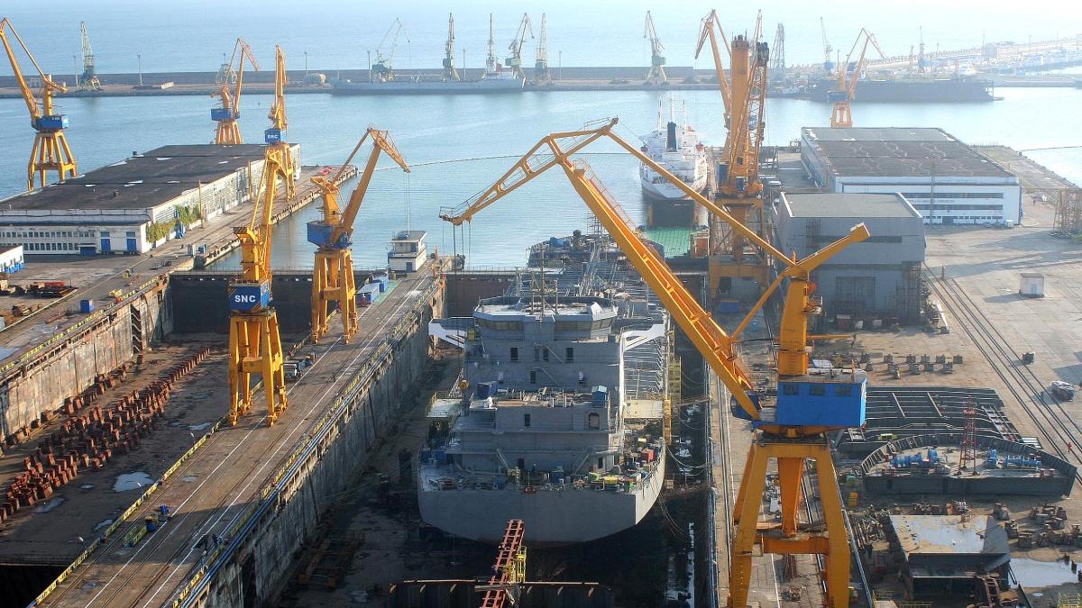 lebede moarte infectate gripa aviara portul constanta