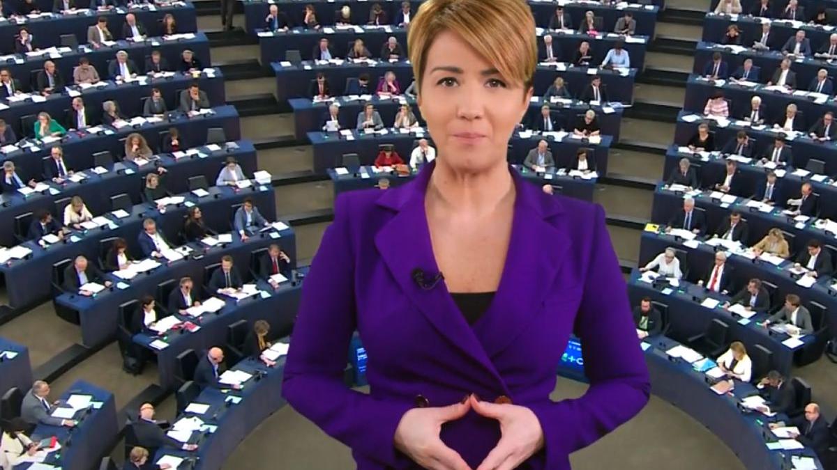 parlamentul european grupuri comisii informare