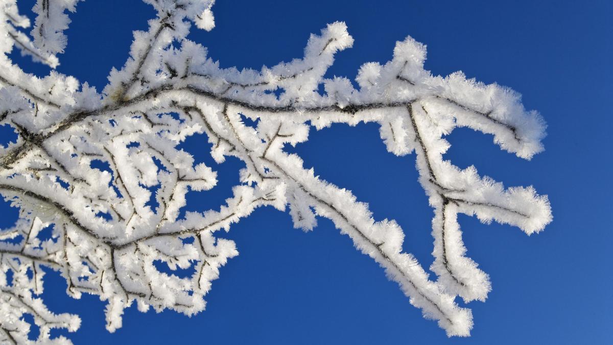 vortex polar romania temperaturi minime frig