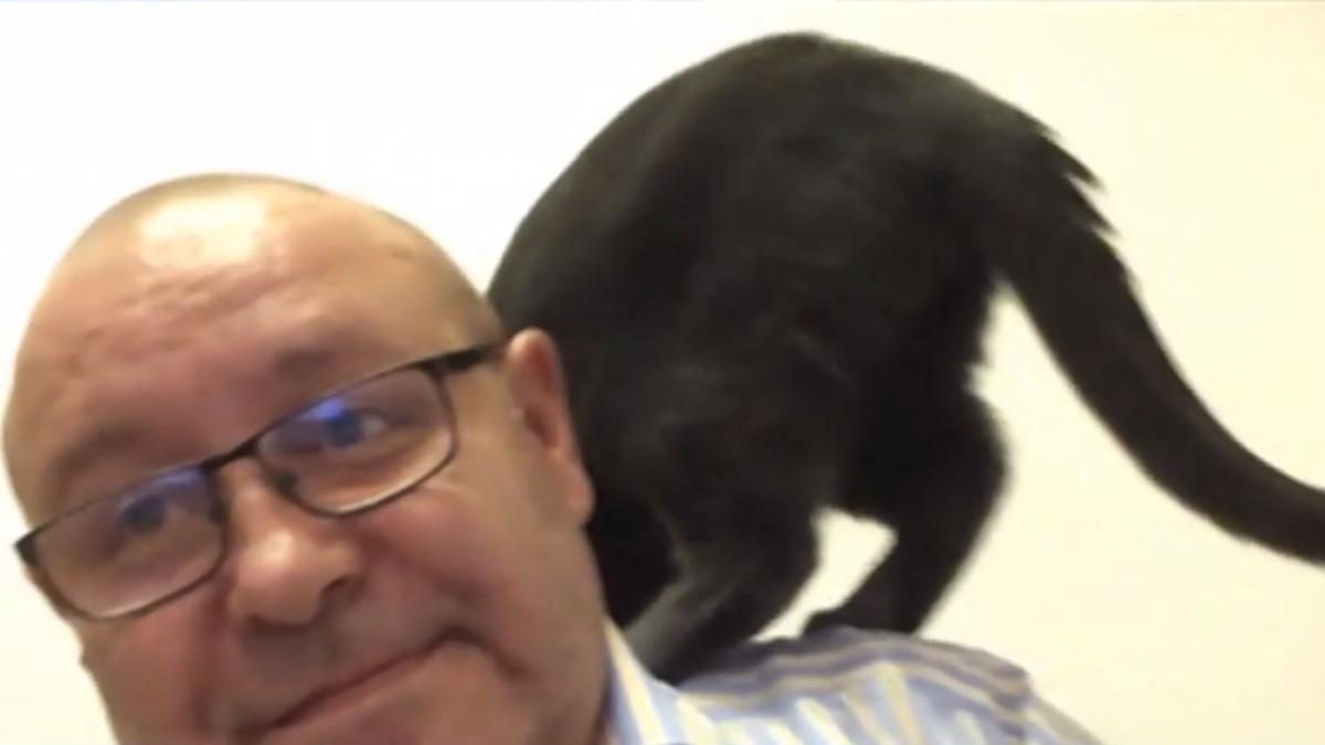 moment amuzant direct pisica daniel fenechiu