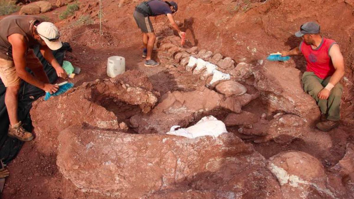 decoperire ramasite cea mai mare creatura pamant