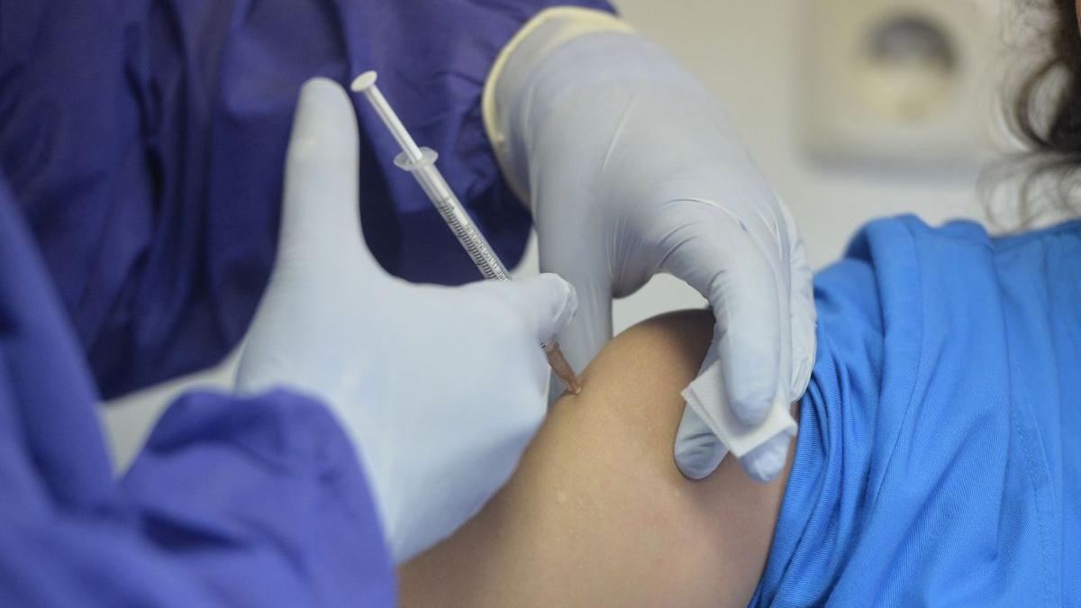 italia proces pfizer vaccinare covid 19