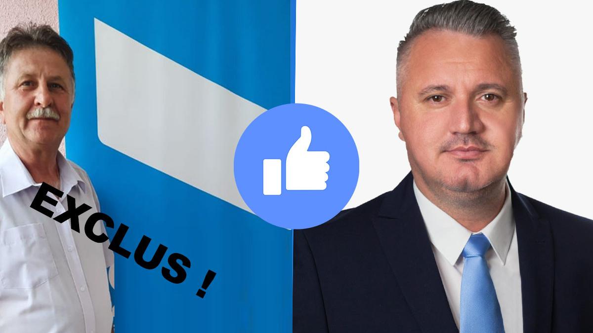 usr l a exclus din partid pe un viceprimar care i a dat like pe facebook unui deputat psd