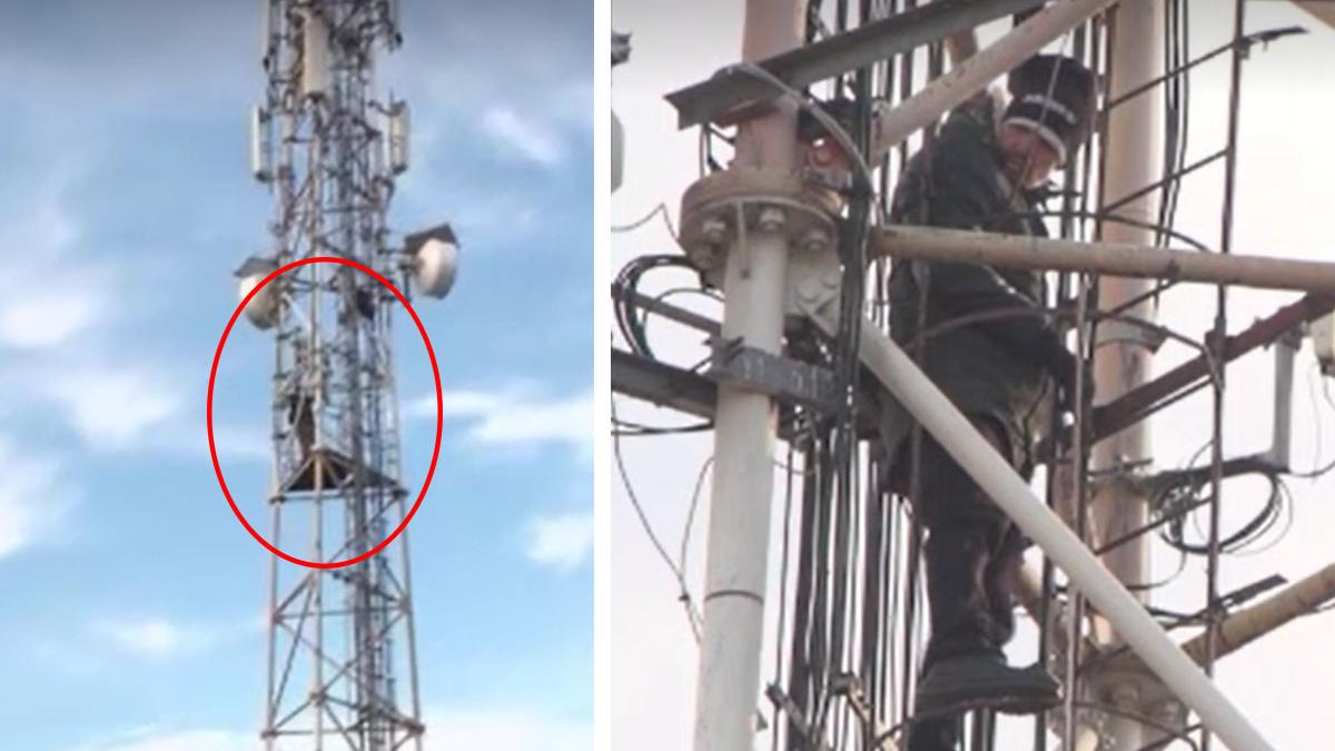 prahovean urcat stalp protest