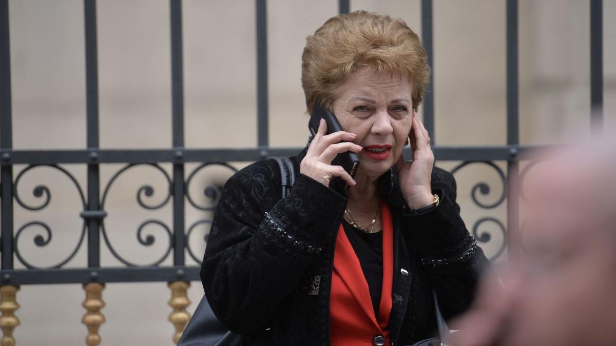 codrin stefanescu doina pana aproape ucisa dorinta aparare tara