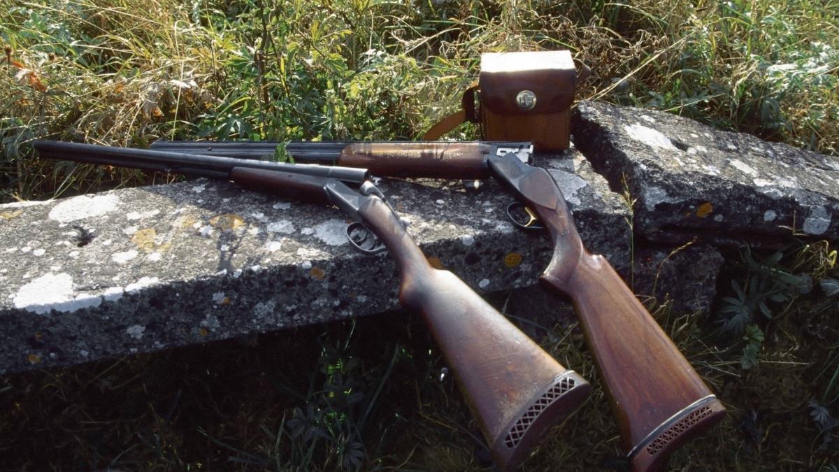 fost profesor arad impuscat in cap depresie