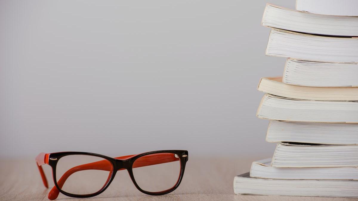 victor negrescu manual istorie clasa xi romania uniunea europeana