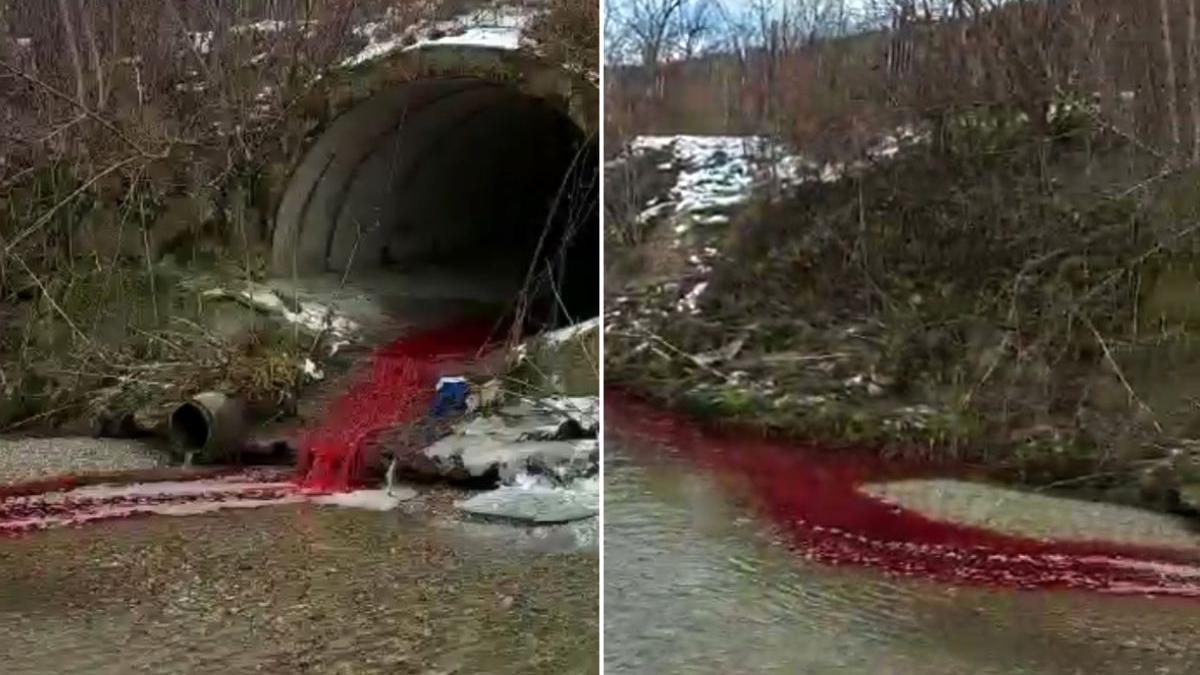 rau bascov arges sange