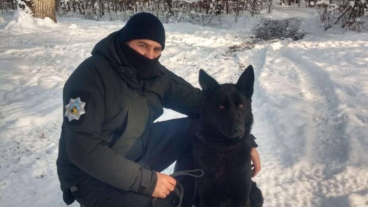 tineri minori furat porc gospodarie sibiu