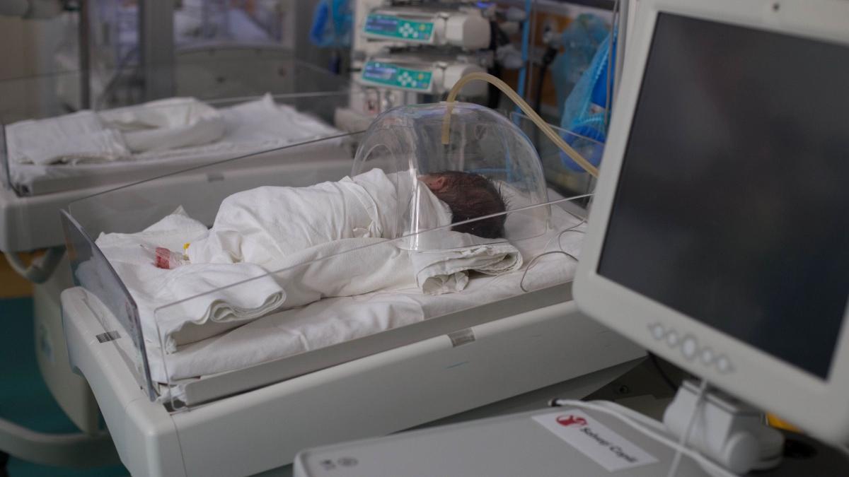 traumele emotionale transmise genetic pot schimba circuitele cerebrale ale unui copil nenascut