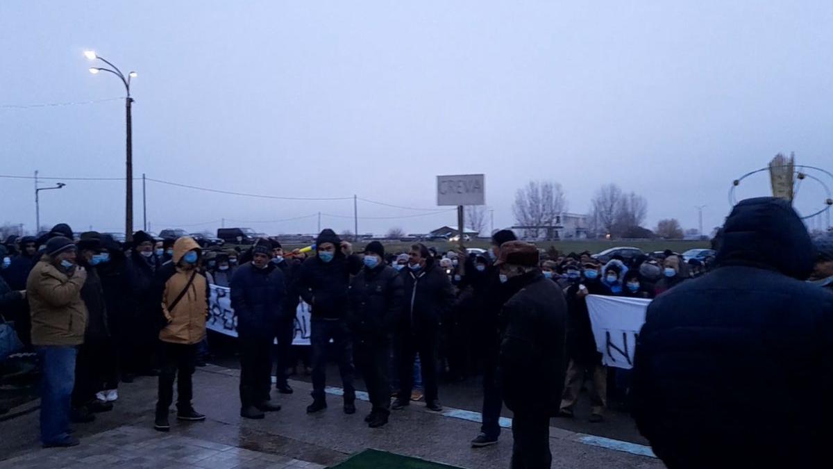 donau chem ioan niculae protest salarii covid