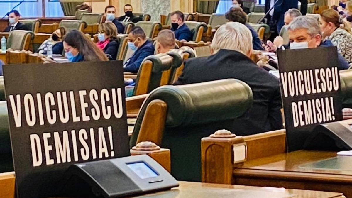 gabriela firea demisia demiterea vlad voiculescu singurele solutii onorabile
