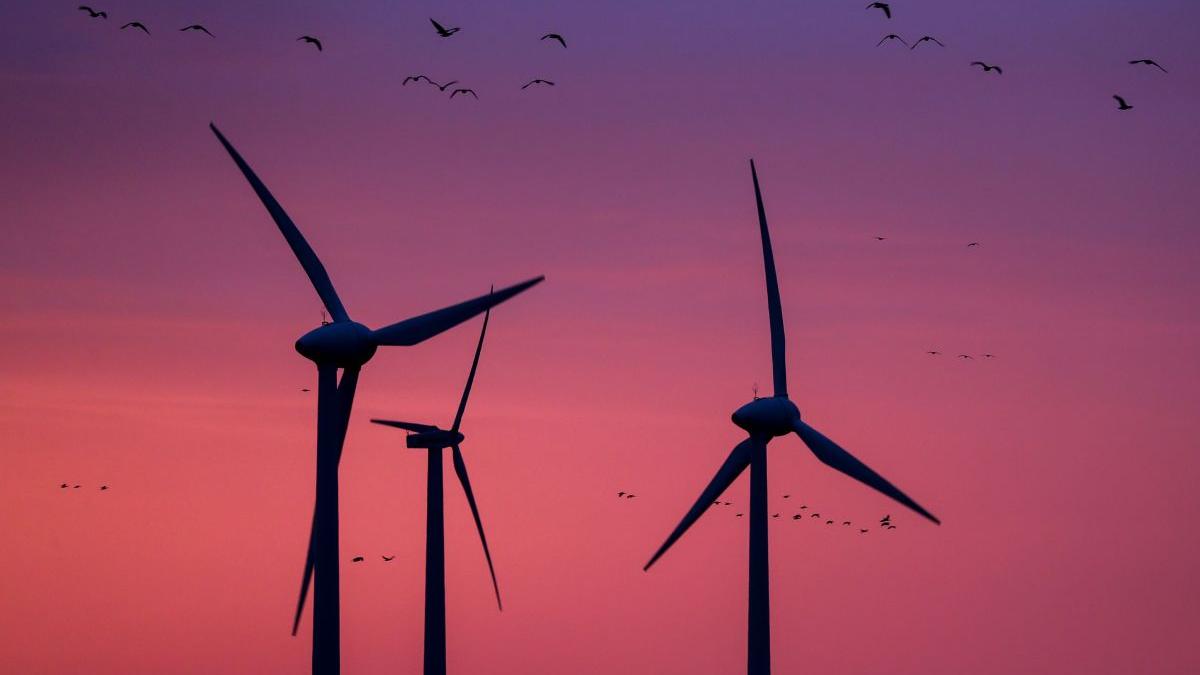 hidroelectrica cumparat parcul eolian crucea