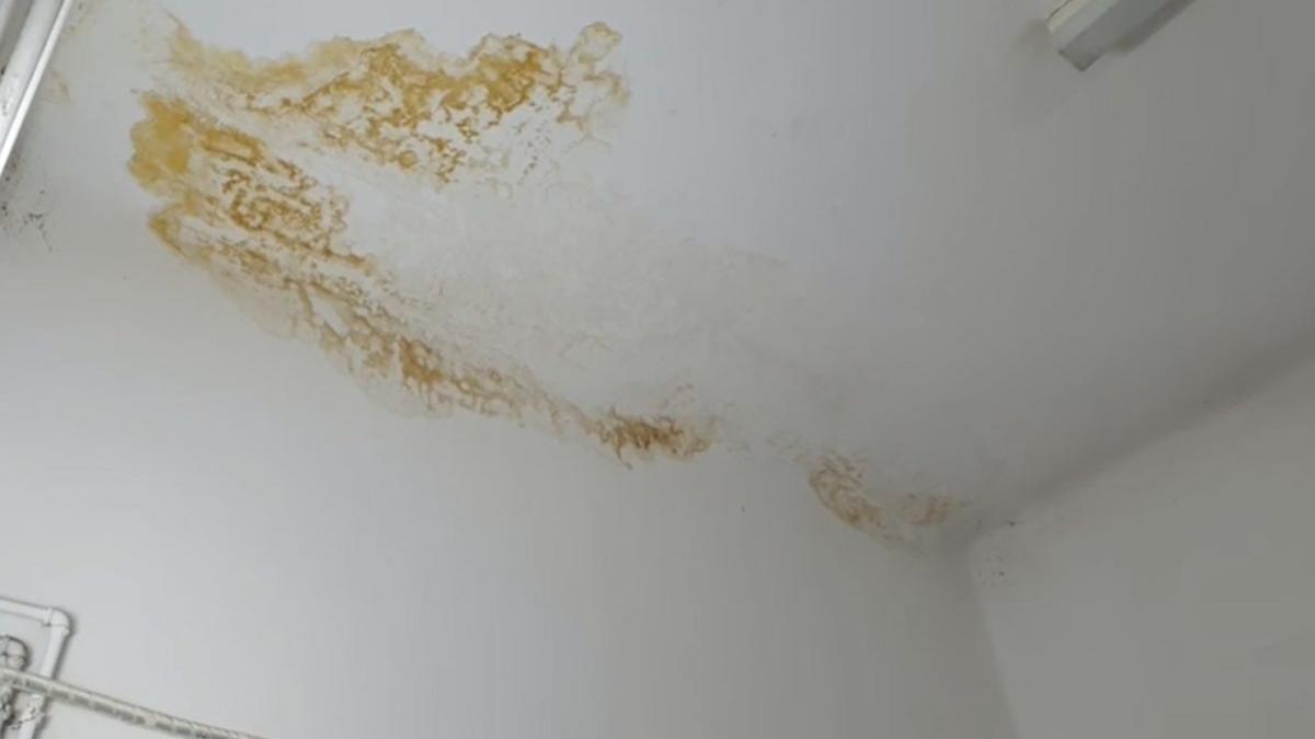 institutul clinic de urologie si transplant renal cluj napoca pod autorizatie securitate incendiu