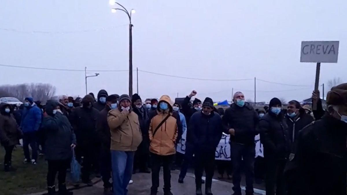 ioan niculae donau chem protest salarii restante conducere demisie