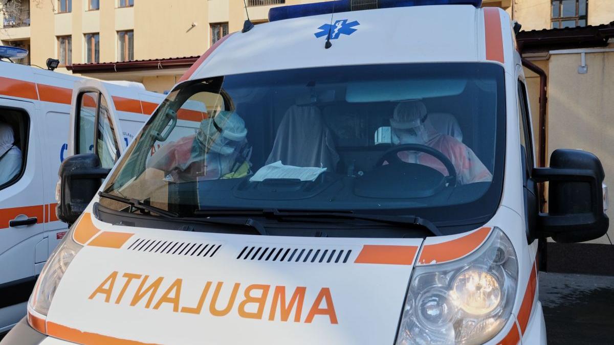 viceprimar grinties neamt batut primarita