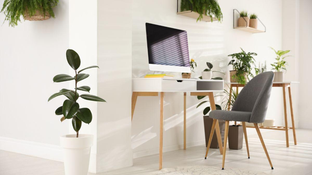 doresti sa amenajezi casa in stil minimalist iata cum sa alegi decorul