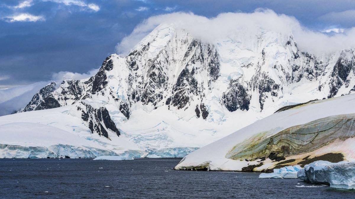 militar portofel antarctica grisham insular ross card atomic