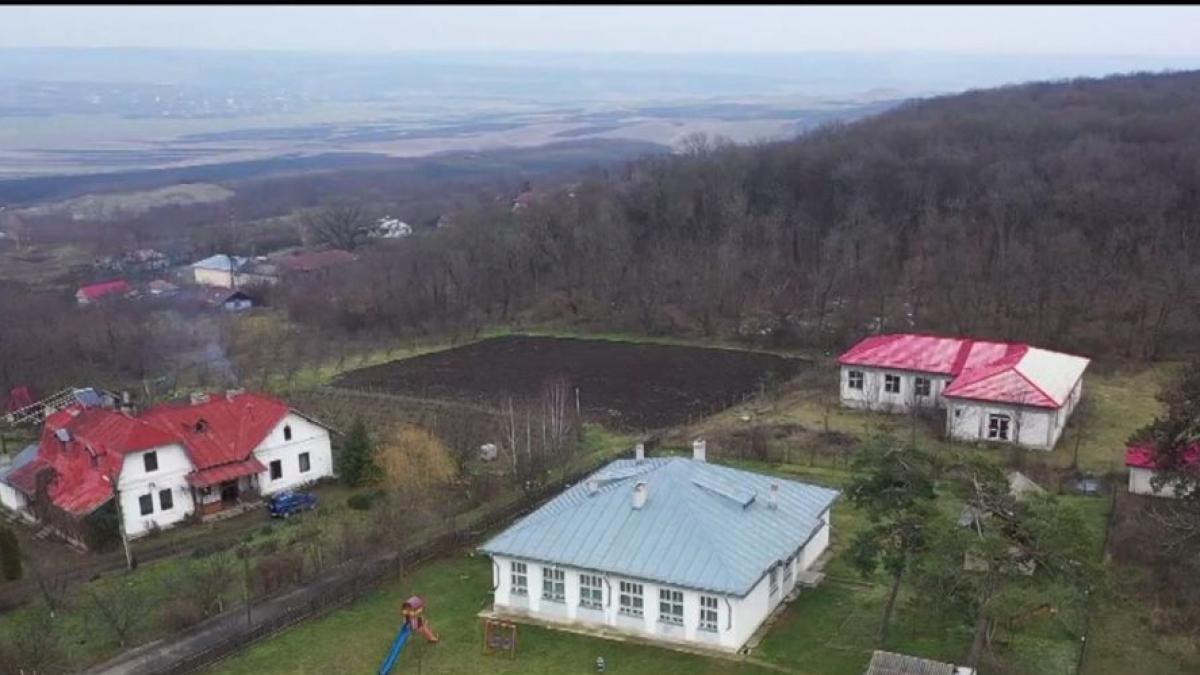 problema elevi sate internet scoala