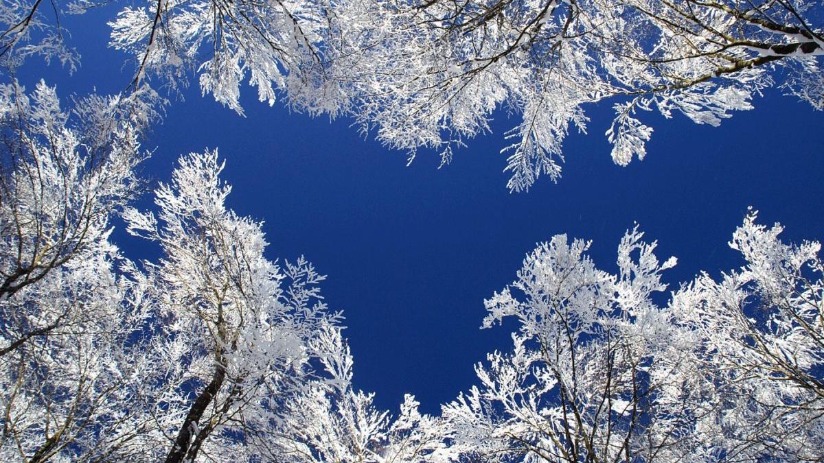 prognoza meteo 2 saptamani