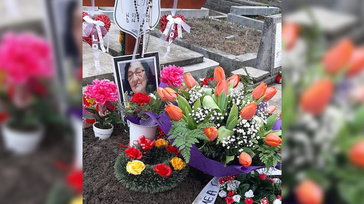 ancheta spital judetean arad