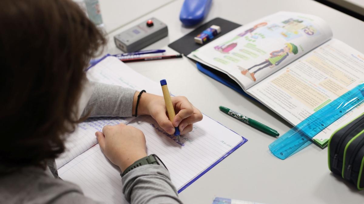 psd cere majorarea alocatiilor parlament