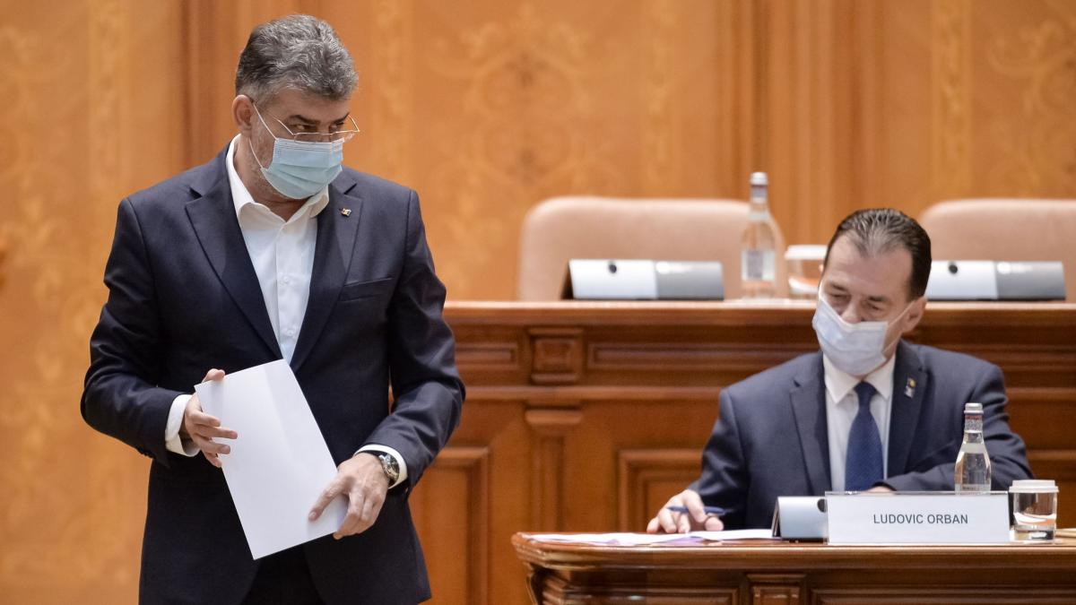 sondaj curs pnl scadere