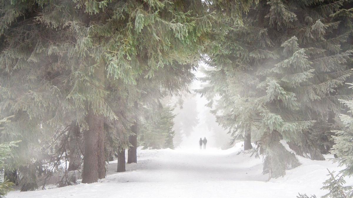 vremea 8 februarie 8 martie prognoza meteo