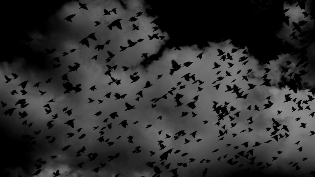 cod portocaliu racirea vremii anm